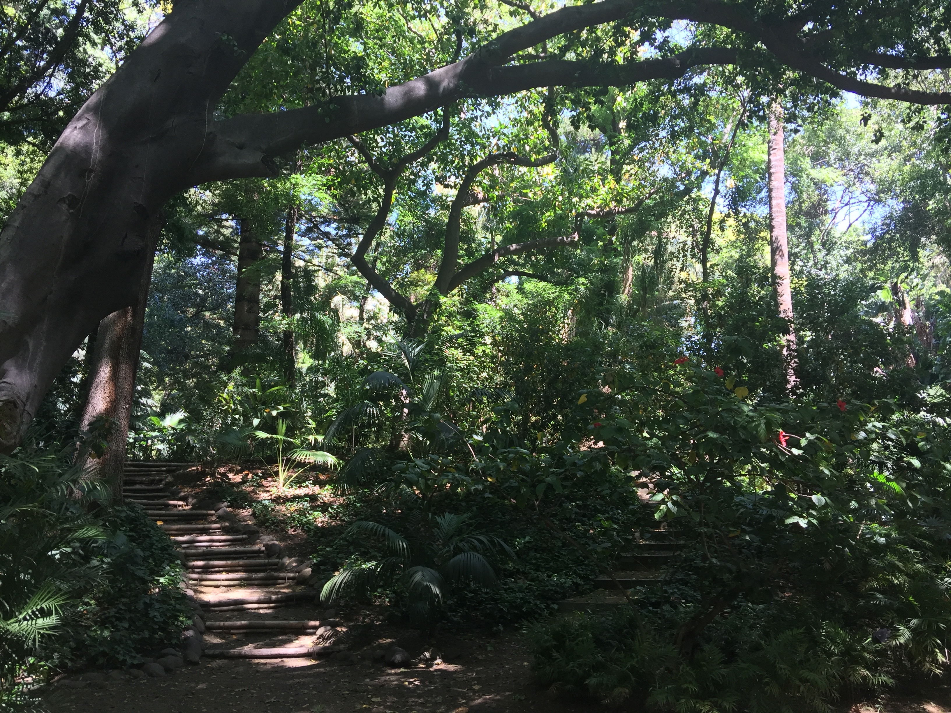 Botanische tuin Malaga