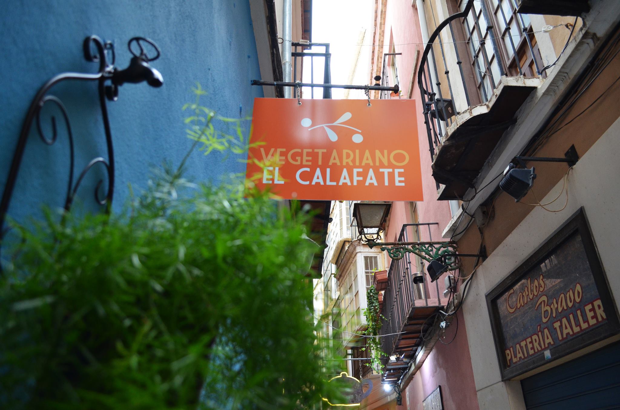 Vegetarische restaurants in Malaga